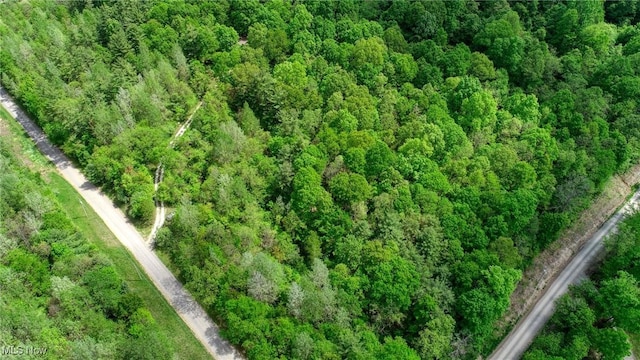 21639 Baptist Rd, Quaker City, OH 43773 - photo 43