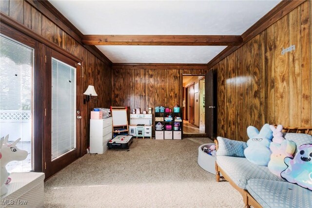 500 Stoneybrook Ln, Canfield, OH 44406 - living area with carpet, wood walls, and beamed ceiling