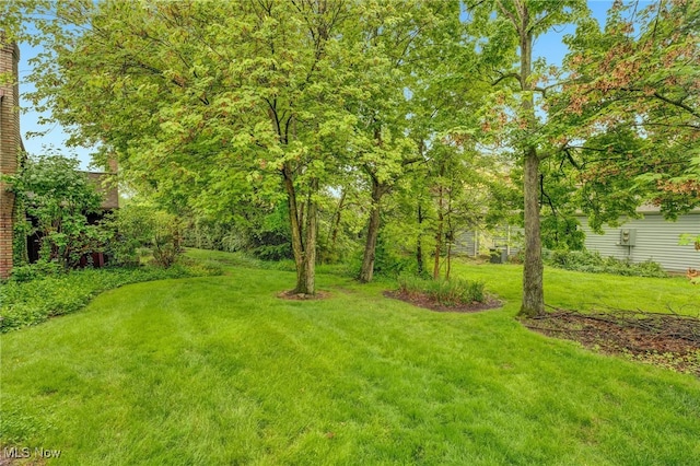 33 Brandon Pl, Rocky River, OH 44116 - view of green lawn