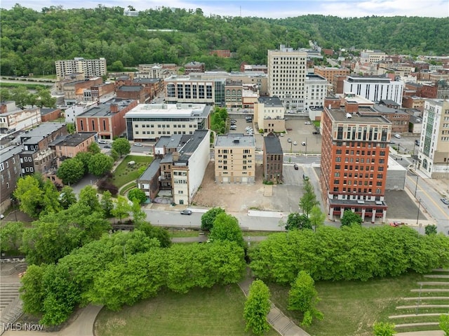 1115 Main St Unit 4B, Wheeling, WV 26003 - bird's eye view