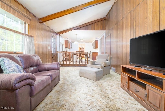 128 E Circle Dr, Weirton, WV 26062 - carpeted living area with wood walls
