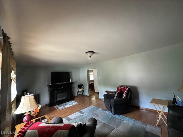 567 Westfield Rd, East Liverpool, OH 43920 - living room featuring wood finished floors, a glass covered fireplace, and baseboards