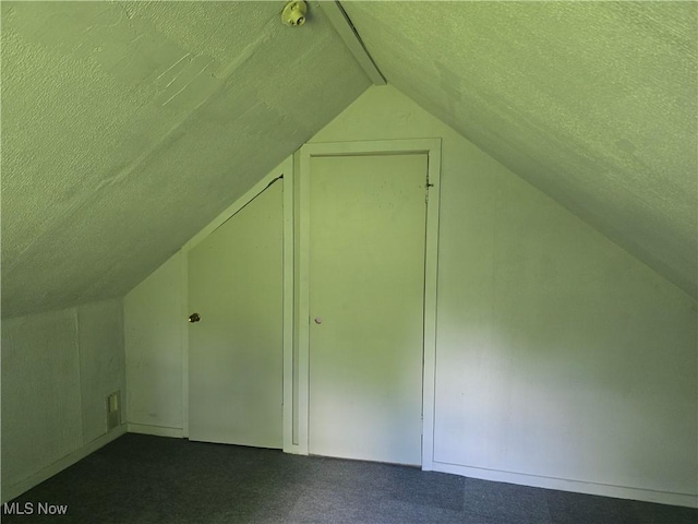 355 N Elm Ave, Tallmadge, OH 44278 - additional living space with a textured ceiling, vaulted ceiling, and dark carpet