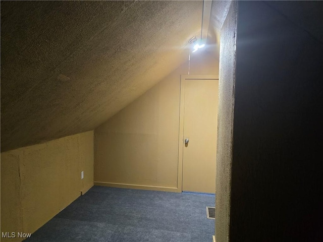 355 N Elm Ave, Tallmadge, OH 44278 - additional living space with vaulted ceiling, carpet floors, and a textured ceiling