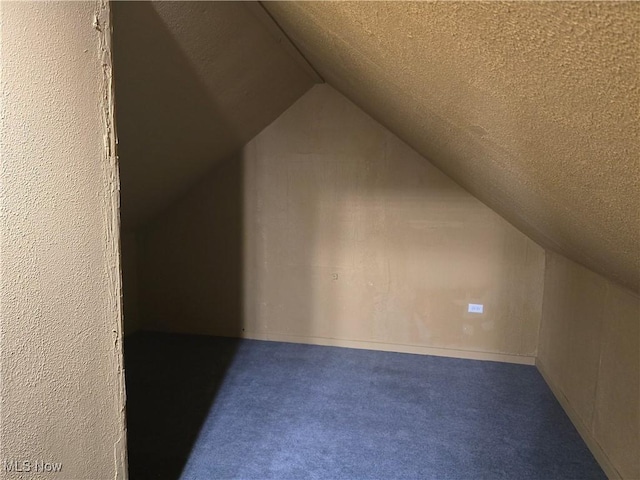 355 N Elm Ave, Tallmadge, OH 44278 - additional living space with vaulted ceiling, carpet floors, and a textured ceiling