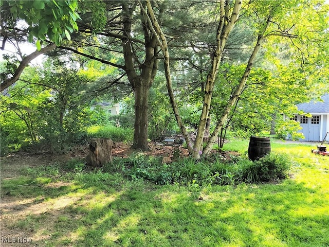 517 N 10th St, Cambridge, OH 43725 - view of grassy yard