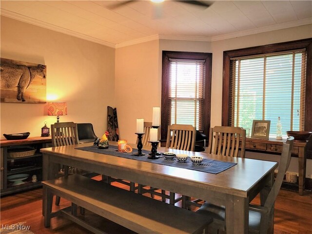 517 N 10th St, Cambridge, OH 43725 - dining room with dark wood finished floors, crown molding, and ceiling fan