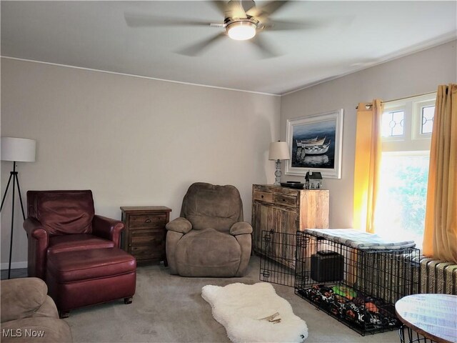 517 N 10th St, Cambridge, OH 43725 - living area with ceiling fan and carpet flooring
