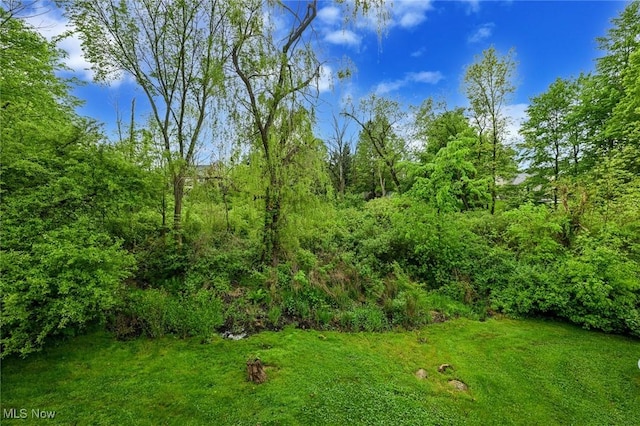 4474 Litchfield Dr, Copley, OH 44321 - view of grassy yard