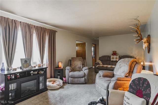 55 Lanham Ln, Davisville, WV 26142 - living room featuring carpet floors