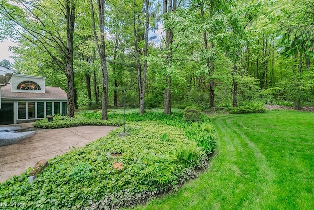 12562 Harold Dr, Chesterland, OH 44026 - view of green lawn