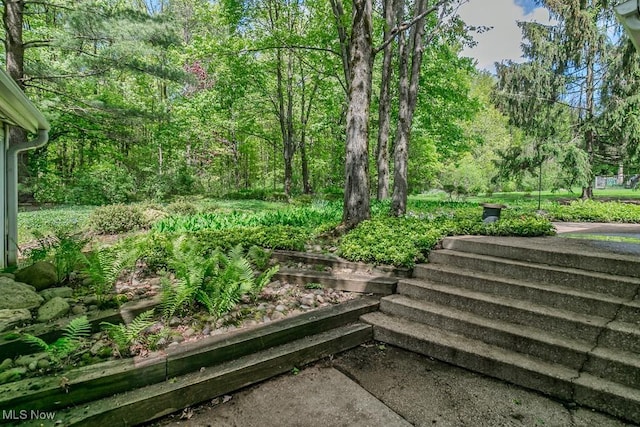 12562 Harold Dr, Chesterland, OH 44026 - view of yard