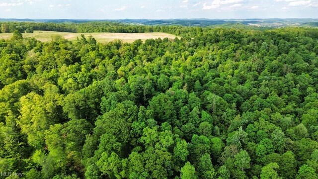 24514 County Road 24, Coshocton, OH 43812 - drone / aerial view of a forest