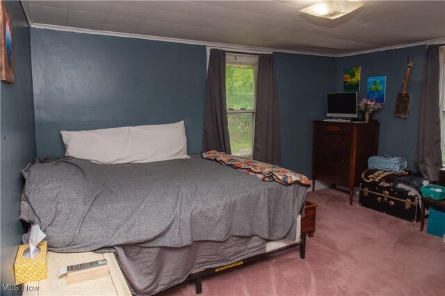 804 Hollywood Ave, East Liverpool, OH 43920 - bedroom with ornamental molding and carpet floors