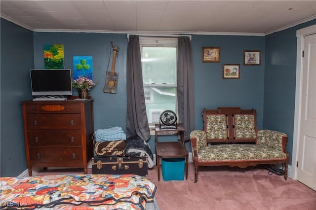 804 Hollywood Ave, East Liverpool, OH 43920 - bedroom with crown molding and carpet floors