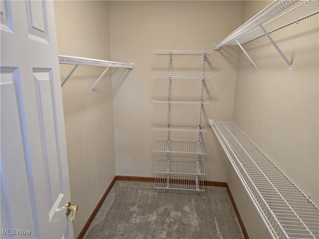 2457 Barrington Way, Wooster, OH 44691 - spacious closet with carpet