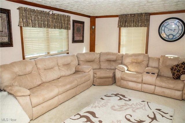 living room featuring carpet and crown molding