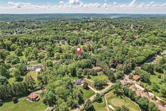 899 Park Blvd W, East Liverpool, OH 43920 - drone / aerial view of a forest