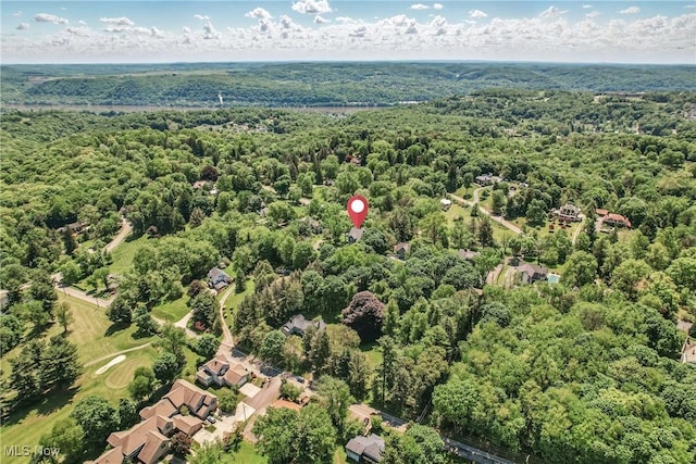 899 Park Blvd W, East Liverpool, OH 43920 - bird's eye view of a heavily wooded area