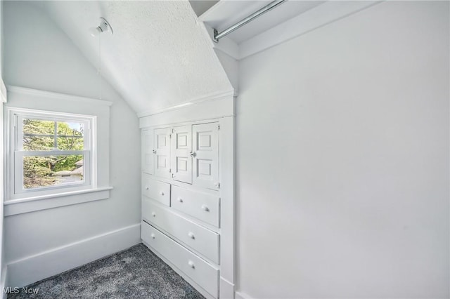 899 Park Blvd W, East Liverpool, OH 43920 - walk in closet with dark colored carpet and vaulted ceiling