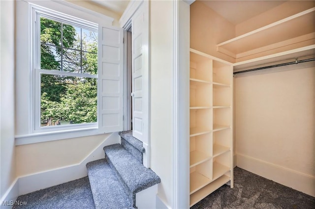 899 Park Blvd W, East Liverpool, OH 43920 - spacious closet featuring carpet floors