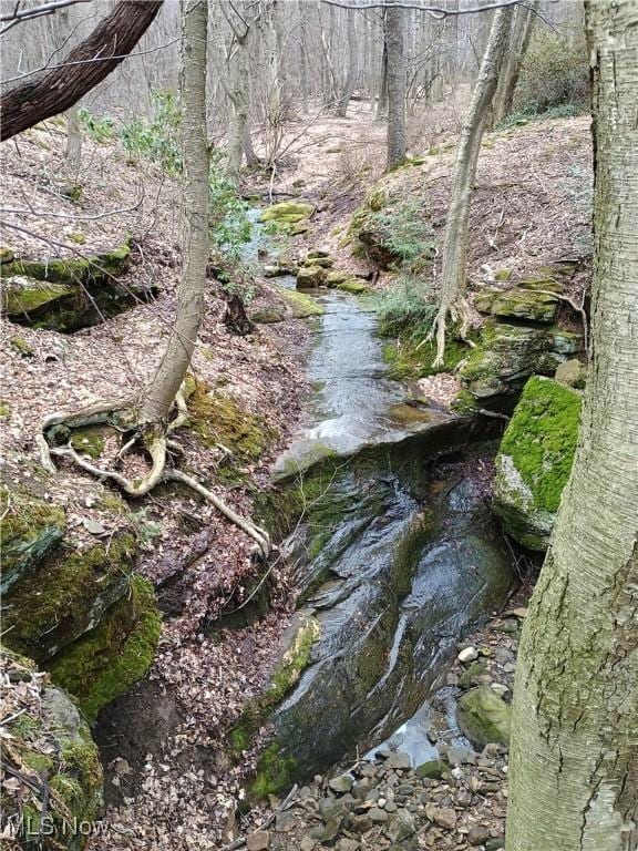 10606 Sherman Rd, Chardon, OH 44024