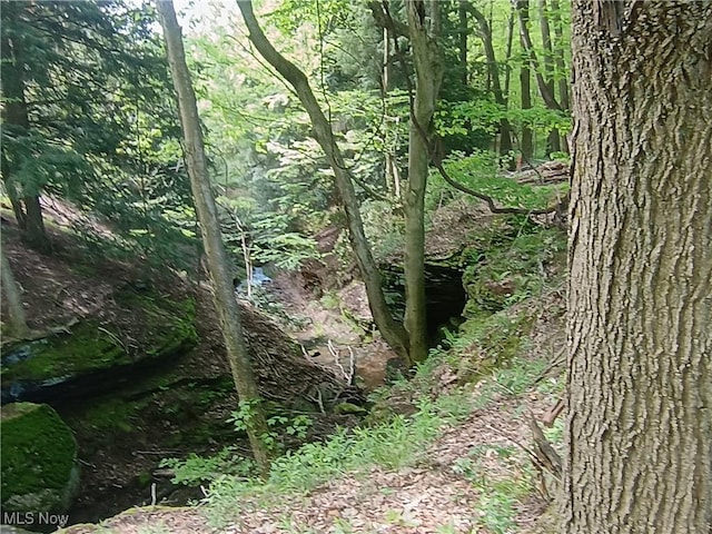 10606 Sherman Rd, Chardon, OH 44024