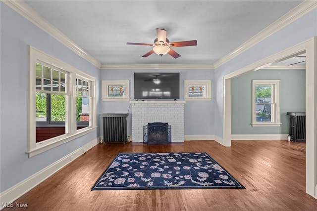 3004 Essex Rd, Cleveland Heights, OH 44118 - unfurnished living room with radiator heating unit, ceiling fan, a fireplace, wood finished floors, and crown molding