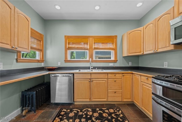 3004 Essex Rd, Cleveland Heights, OH 44118 - kitchen with stainless steel appliances, a sink, dark countertops, dark stone finish flooring, and recessed lighting