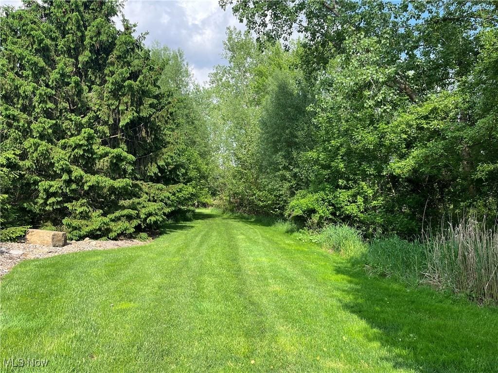 Birkdale St NW, Canton, OH 44708 - photo 1