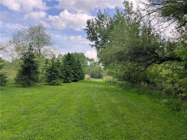 Birkdale St NW, Canton, OH 44708 - photo 2
