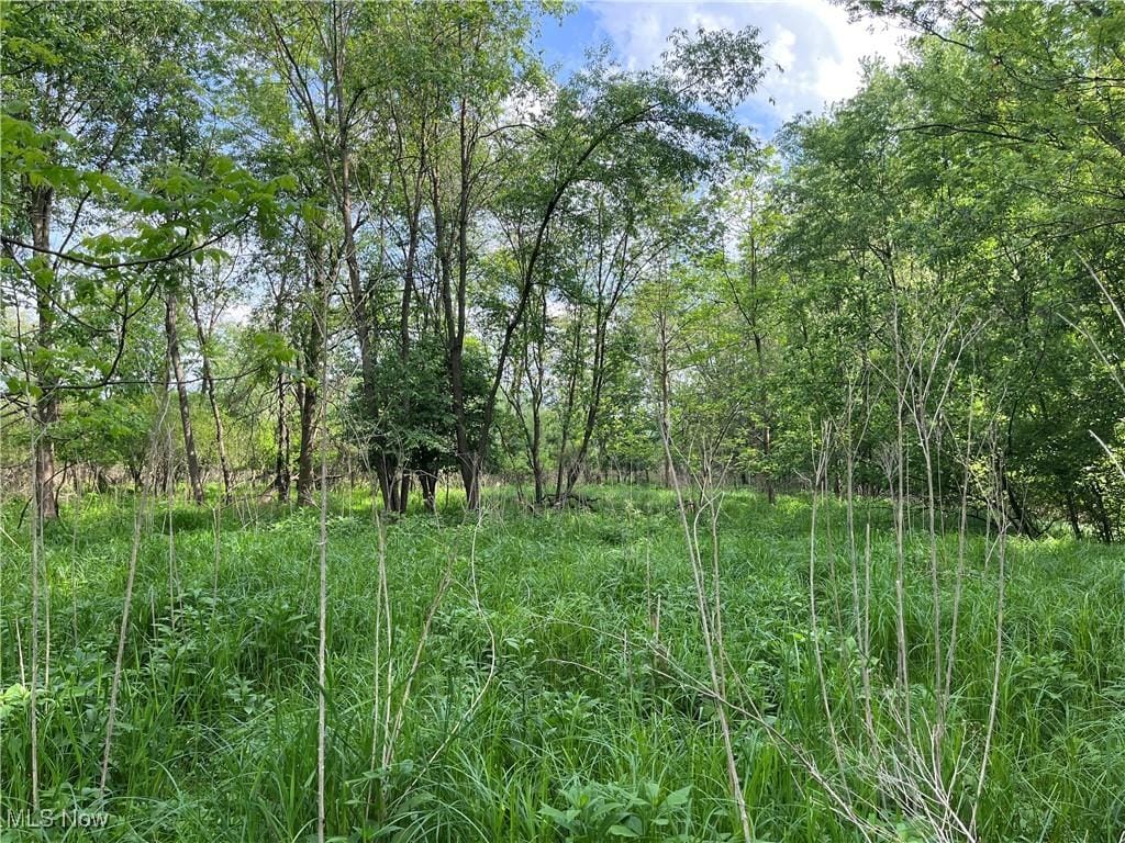 Birkdale St NW, Canton, OH 44708 - photo 4