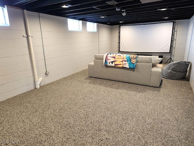 view of carpeted home theater