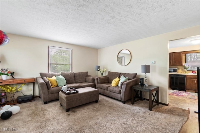 living room with a textured ceiling and light colored carpet