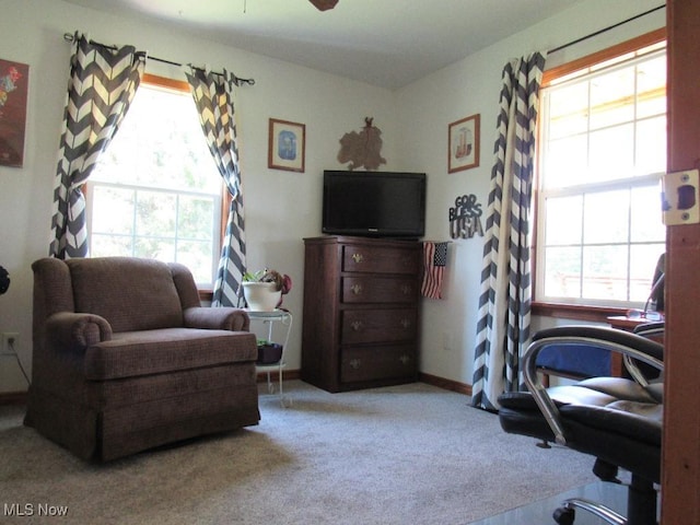 297 Hales Lndg, Elizabeth, WV 26143 - carpeted home office with healthy amount of natural light and ceiling fan