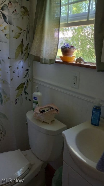297 Hales Lndg, Elizabeth, WV 26143 - bathroom with toilet and vanity