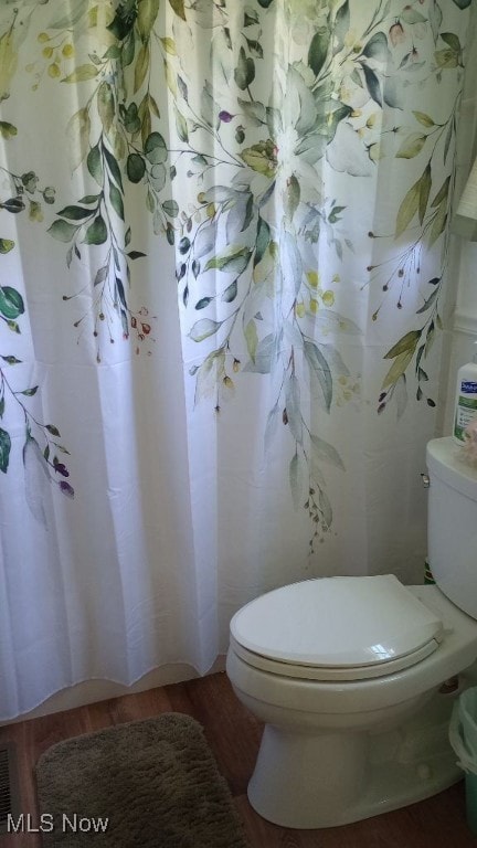 297 Hales Lndg, Elizabeth, WV 26143 - bathroom featuring wood finished floors and toilet