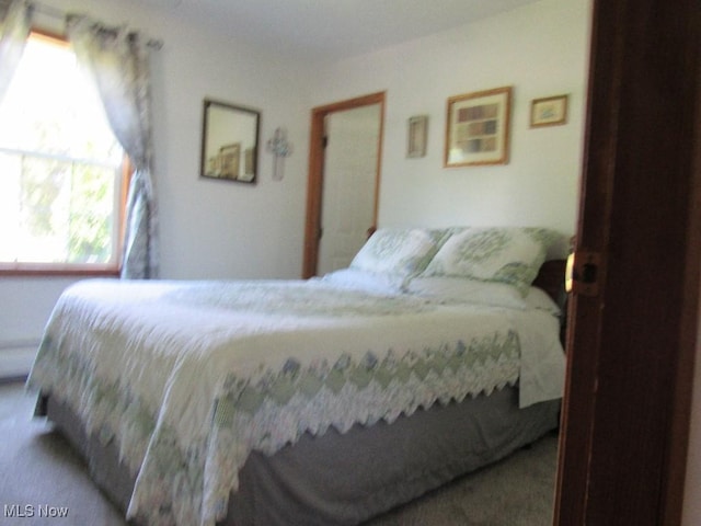 297 Hales Lndg, Elizabeth, WV 26143 - view of carpeted bedroom