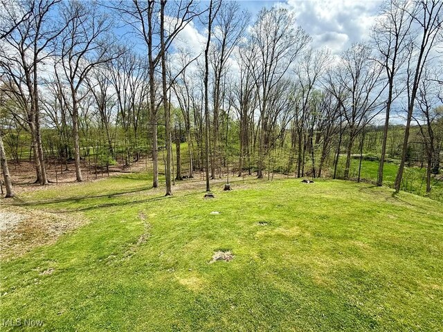 6141 Avon Rd NE, Carrollton, OH 44615 - view of grassy yard