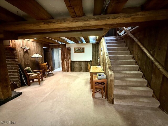 6141 Avon Rd NE, Carrollton, OH 44615 - finished below grade area with wooden walls, carpet floors, and stairs
