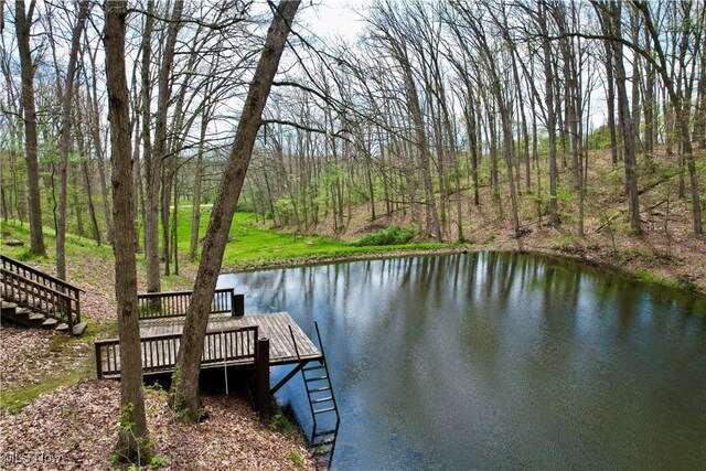 6141 Avon Rd NE, Carrollton, OH 44615 - dock with a water view