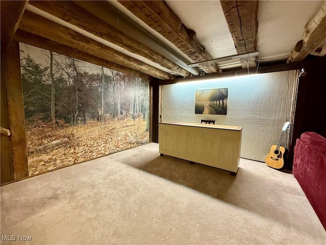 6141 Avon Rd NE, Carrollton, OH 44615 - finished basement with carpet