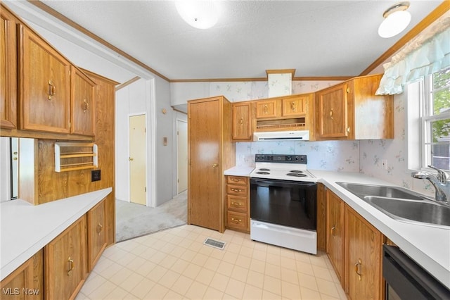 8 Maple Dr, Olmsted Twp, OH 44138 - kitchen featuring white electric stove, a sink, exhaust hood, ornamental molding, and light countertops
