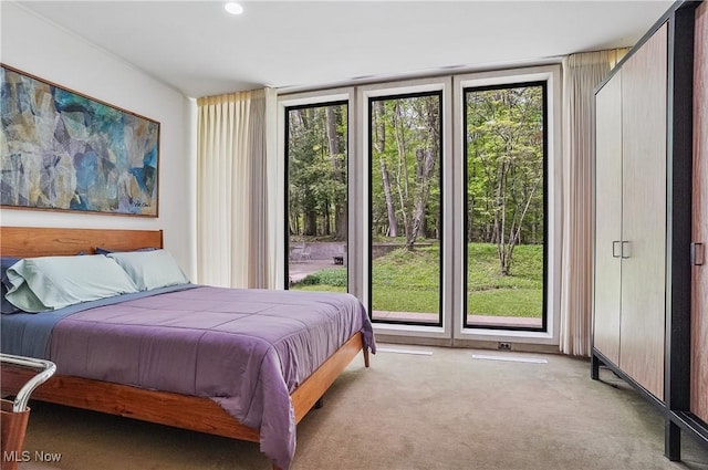 3210 N Dover Rd, Silver Lake, OH 44224 - view of carpeted bedroom