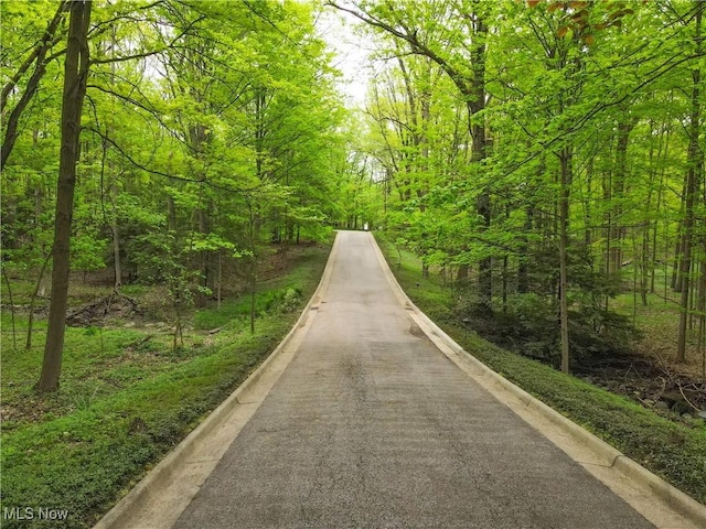 3210 N Dover Rd, Silver Lake, OH 44224 - view of asphalt street with curbs and a forest view