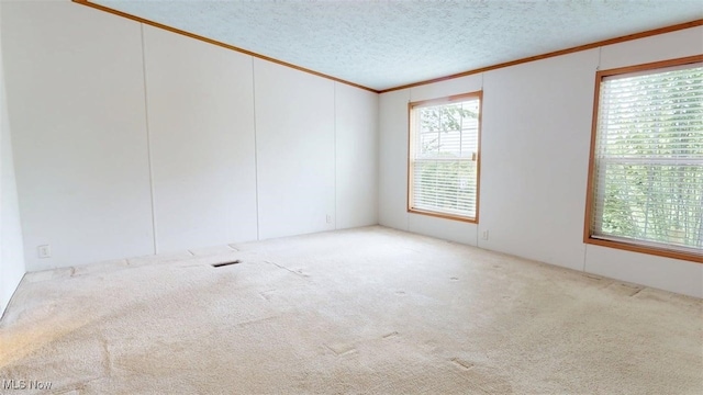 728 Rising Sun Ridge Rd, Walker, WV 26180 - carpeted empty room with crown molding and a textured ceiling