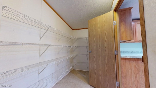 728 Rising Sun Ridge Rd, Walker, WV 26180 - spacious closet with light carpet