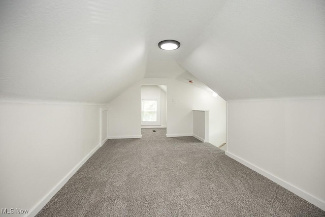 1197 E Ave, Akron, OH 44307 - bonus room with carpet, vaulted ceiling, and baseboards