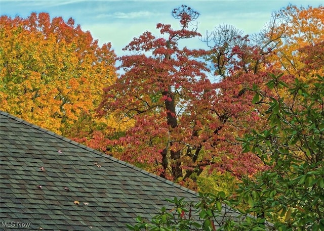 891 Sovereign Rd, Akron, OH 44303 - exterior view of roof with shingles