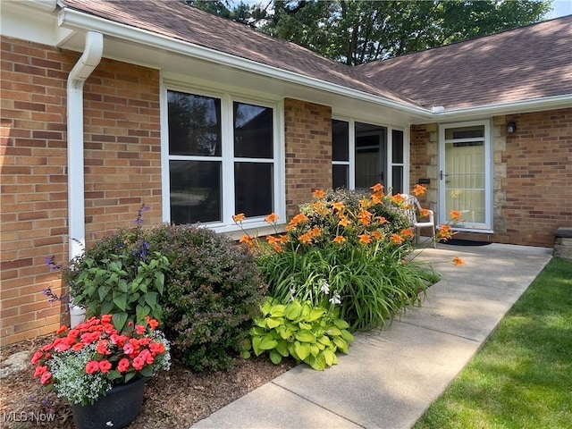 891 Sovereign Rd, Akron, OH 44303 - view of exterior entry featuring a shingled roof and brick siding